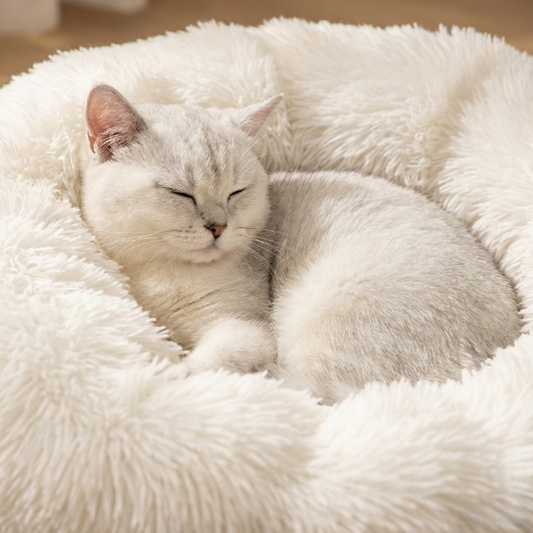 Calming Donut™ Bed