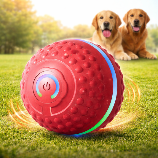 SmartJump™ Interactive Ball