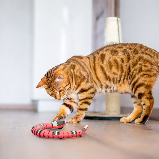 SmartSlither™ Sensing Snake