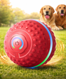 SmartJump™ Interactive Ball
