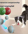 SmartJump™ Interactive Ball