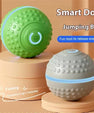 SmartJump™ Interactive Ball
