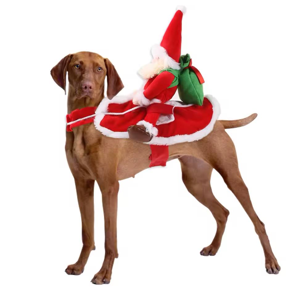Santa Rider™ Christmas Costume