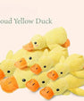 QuackForce™ Duck